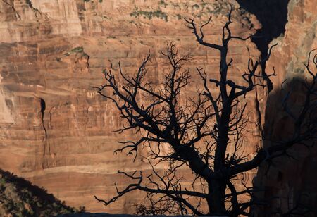 Canyon de Chelly, Arizona