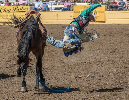 Taking the Hard Way Off, Red Bluff Round Up, Californiaのeditorial素材