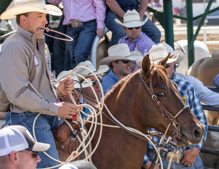 Cowboy Getting Gear Ready,  Red Bluff Round Up, Californiaのeditorial素材