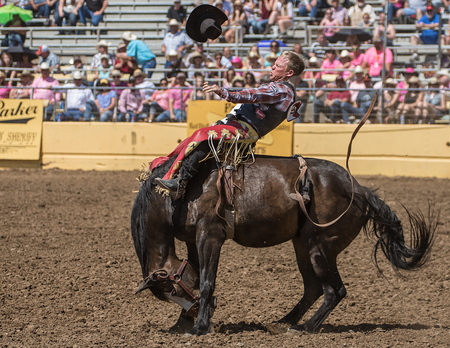 Riding the Bucking Bronco, Red Bluff Rodeo, California.のeditorial素材