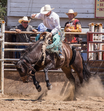 Cowboy Holds on tight at the Cottonwood Rodeo, California