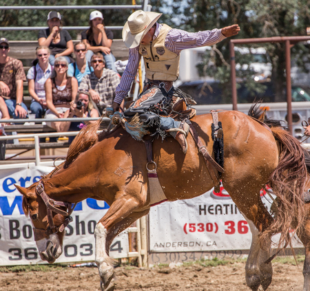 Cowboy Holds on tight at the Cottonwood Rodeo, Californiaのeditorial素材