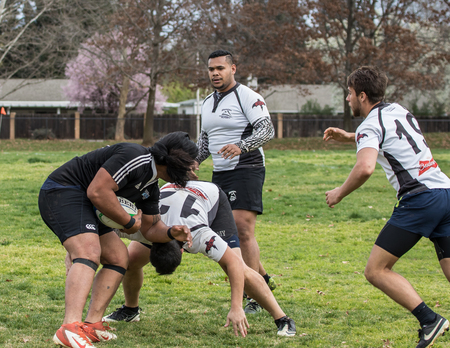 Redding, California: Rugby action with the Shasta Highlanders against the Redwood Sharks of Santa Rosa.のeditorial素材