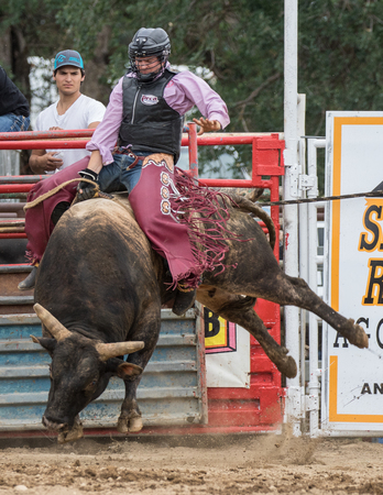 Rodeo action at the Cottonwood Rodeo in Cottonwood, California on May 8th, 2016.のeditorial素材