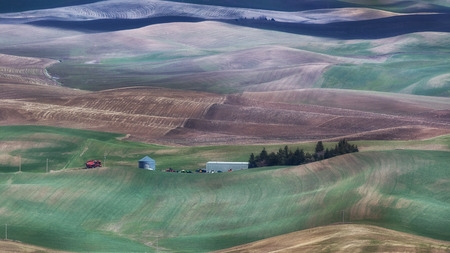 Farmland of the Palouse region of Eastern Washingtonの写真素材