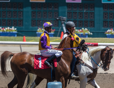 Horse racing action at the Cal Expo Track  in Sacramento, California. July 17, 2017.のeditorial素材