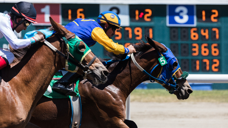 Horse racing action at the Cal Expo Track  in Sacramento, California. July 17, 2017.のeditorial素材