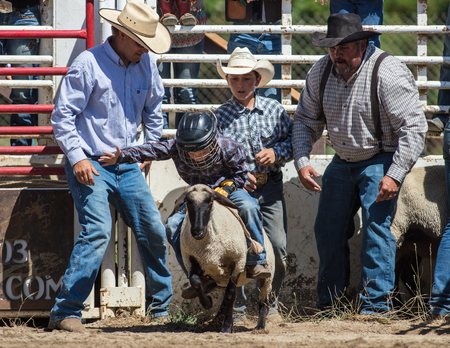 Mutton busting junior cowboy at the Scott Valley Rodeo in Etna, California.のeditorial素材