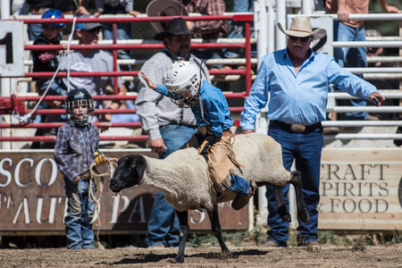 Rodeo action at the Scott Valley Pleasure Park Rodeo in Etna, California.のeditorial素材