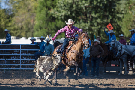Rodeo action  at the Scott Valley Pleasure Park Rodeo in Etna, Californiaのeditorial素材