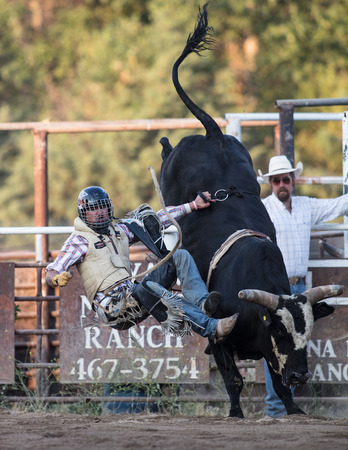 Rodeo action at the Scott Valley Pleasure Park Rodeo in Etna, California.のeditorial素材