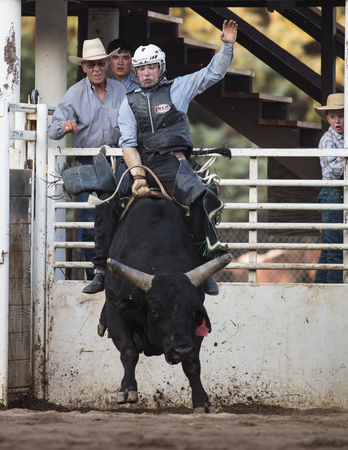 Rodeo action at the Scott Valley Pleasure Park Rodeo in Etna, California.のeditorial素材