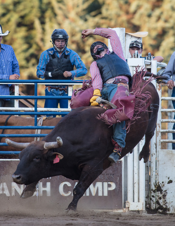 Rodeo action at the Scott Valley Pleasure Park Rodeo in Etna, California.のeditorial素材