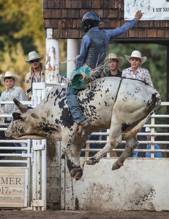 Rodeo action at the Scott Valley Pleasure Park Rodeo in Etna, California.のeditorial素材
