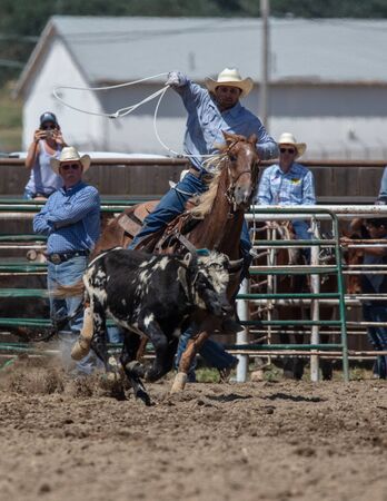 Rodeo action at the Cottonwood Rodeo in Northern California.のeditorial素材