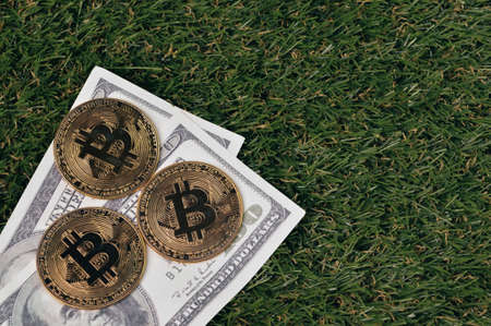 Money banknotes and golden bitcoins over grass background.の写真素材