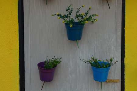 Colorful flower pots hanging on the door. Decoration with various fresh flowersの写真素材