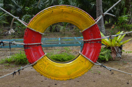 Colorful tire hanging on rope at the park