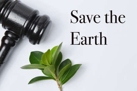 Top view of judge gavel and green leaves over white background written with SAVE THE EARTH