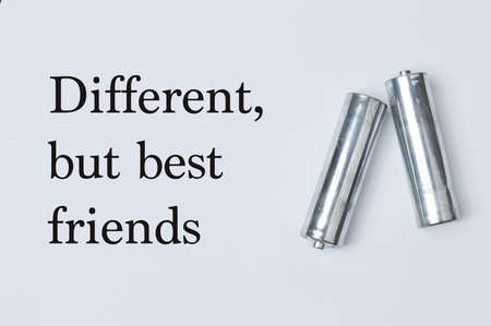 Phrase DIFFERENT, BUT BEST FRIENDS written over grey background