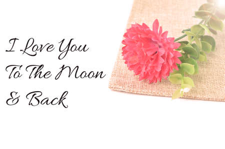 Love quote written with I LOVE YOU TO THE MOON & BACK