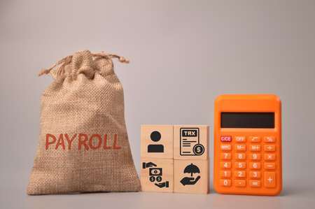 Calculator, money bag and wooden blocks with payroll iconsの写真素材