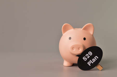 Piggy bank and wooden tag with text 529 PLAN. Copy spaceの写真素材
