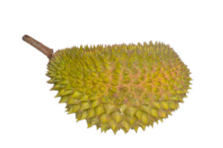 Fresh durian fruit isolated on a white background. Durian is known as king of fruits