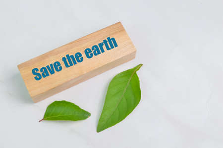 Green leaves and wooden block with text SAVE THE EARTH