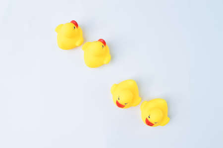 Toy ducks heading with different directions. Business innovation, unique and think different conceptの写真素材