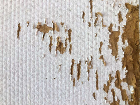 Surface of an old bulletin board with scratched
