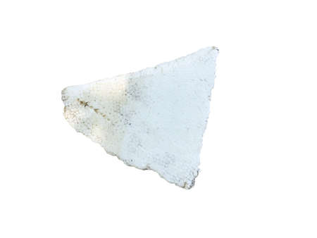 Torn ice box isolated on a white backgroundの写真素材