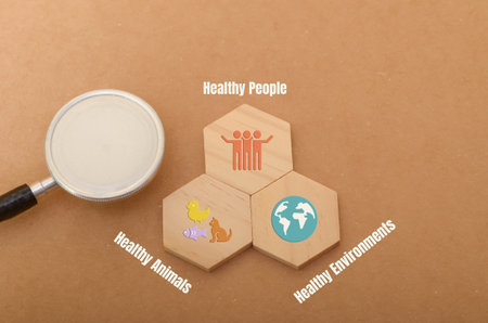 The image suggests that human health, animal health, and environmental health are interconnected and interdependent, emphasizing the importance of holistic approaches to well-being.の写真素材