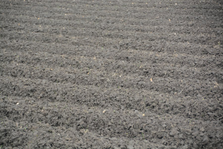 The land is freshly plowed, with visible furrows running through the dark soil.