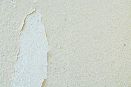 The peeling paint is a common sign of moisture damage, which can occur due to leaks, condensation, or rising damp.の写真素材