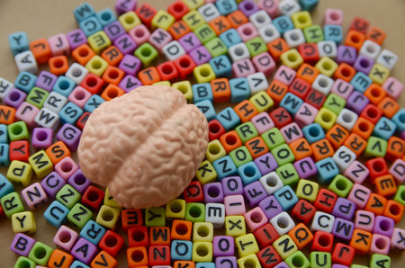 Human Brain Model on Colorful Alphabet Beads Representing Language Learning and Cognitive...