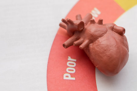 Anatomical Heart on â€œPoorâ€ Health Scale: Cardiovascular Risk Warning