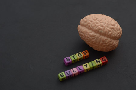 STOP BULLYING Concept: Human Brain Highlighting Mental and Psychological Impactの写真素材