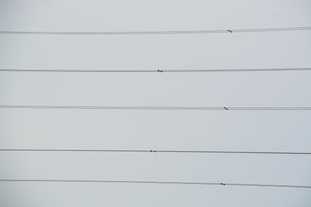 Five parallel high-voltage power lines create a strong, orderly geometric pattern against a plain...