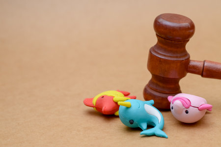 A gavel hovers over sea creatures, symbolizing the critical role of law in conservation and the protection of ocean ecosystems.の写真素材