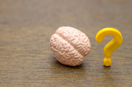 A powerful visual metaphor for curiosity, mental inquiry, cognitive health, and the mysteries of the human mind.の写真素材