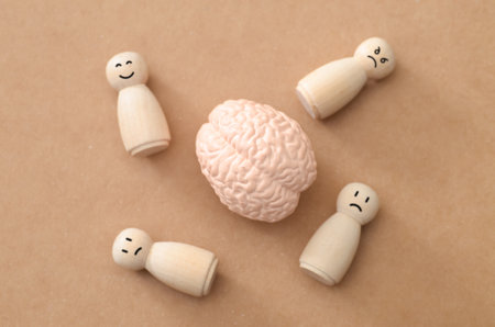 Cognitive Processing Concept: Realistic Brain Model Surrounded by Peg Figures with Different Emotionsの写真素材