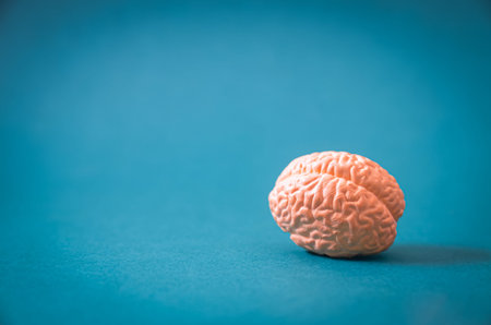 Symbolic Representation of the Mind for Mental Health Support and Holistic Wellbeingの写真素材