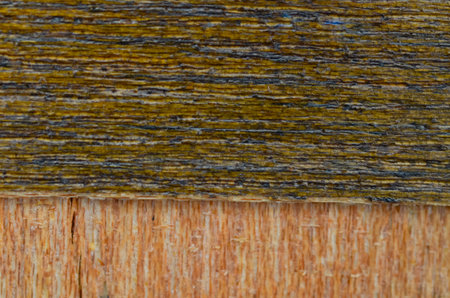Macro Wood Texture with Dark Charred Grain and Natural Bark