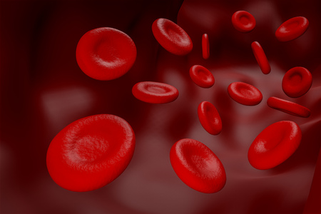 red blood and white blood  cell concept inside bloood tube graphic 3D rendering - Illustrationの写真素材
