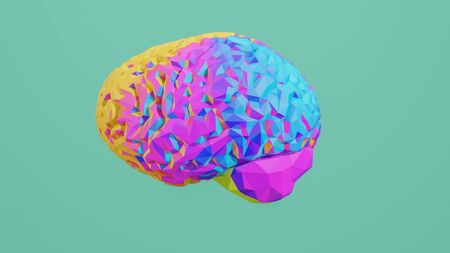 Colorful low poly side view brain 3D render isolated on background, for graphic resourceの写真素材