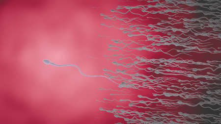 The sperm is directed towards the egg. To do human mating. A pre-fertilization model between an egg...