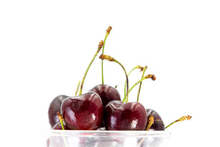 3D Render of softcolor  Podium. Minimal Studio with Round Pedestal and Copy Space. , Product Presentation.の写真素材