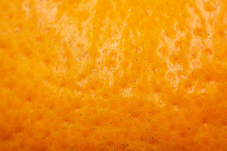 Skin oranges mandarin . texture close up. dirty skin mandarin.の写真素材