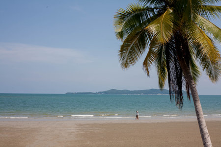 Beach with coconut trees, sky and clear sea on a relaxing day. Suitable as a background for travel.の写真素材
